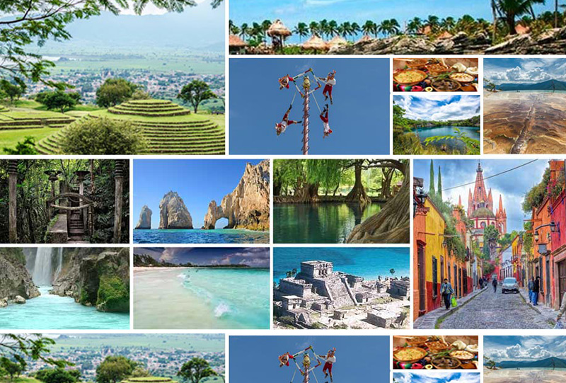 Artboard 1